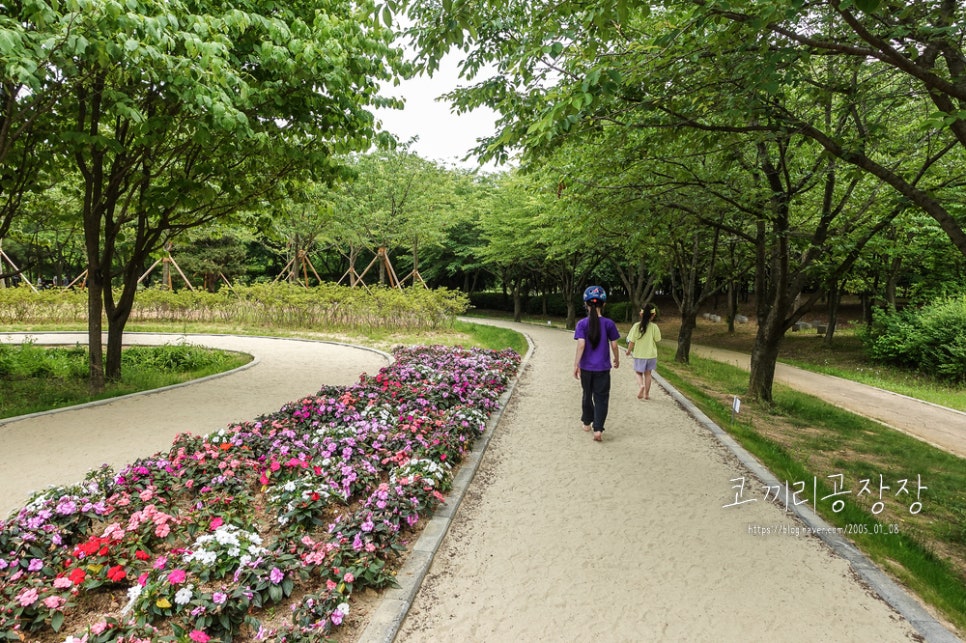 인천 서구 드림파크 야생화단지의 아름다운 산책길 아이랑 숲체험 하기 좋은 곳