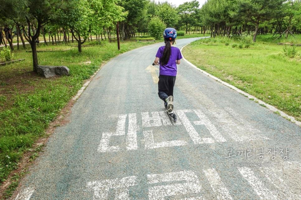 인천 서구 드림파크 야생화단지의 아름다운 산책길 아이랑 숲체험 하기 좋은 곳