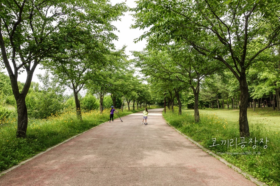 인천 서구 드림파크 야생화단지의 아름다운 산책길 아이랑 숲체험 하기 좋은 곳