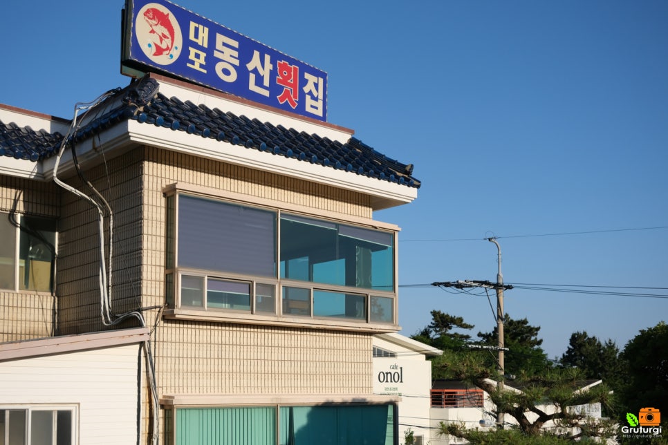 서귀포 횟집 추천 대포동산 제주도 횟집