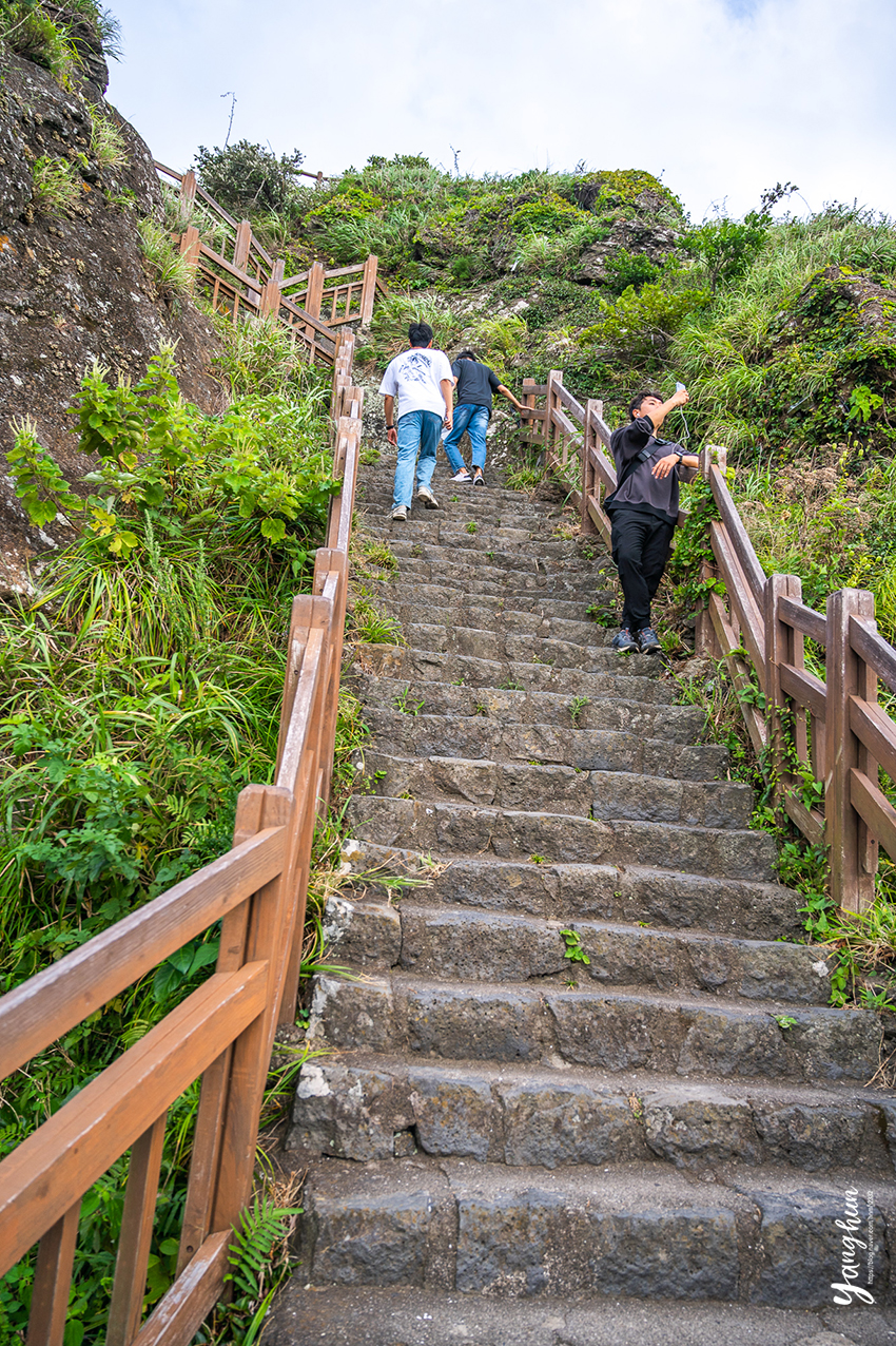 제주 여행 추천 성산일출봉 & 제주 아쿠아플라넷