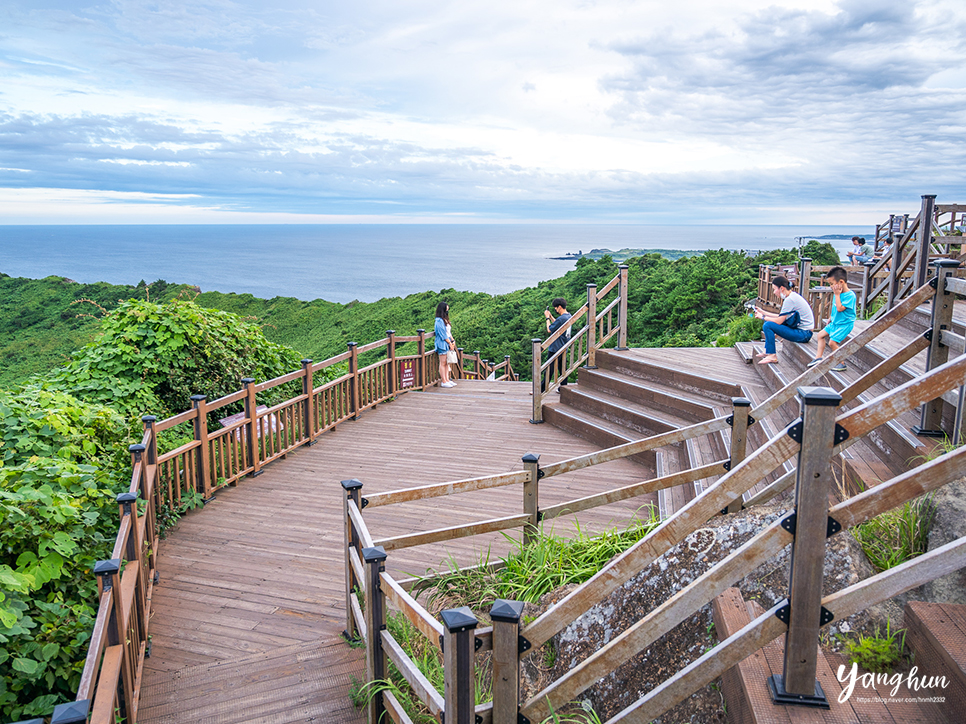 제주 여행 추천 성산일출봉 & 제주 아쿠아플라넷