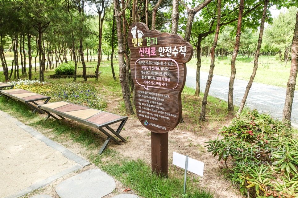 인천 서구 드림파크 야생화단지의 아름다운 산책길 아이랑 숲체험 하기 좋은 곳