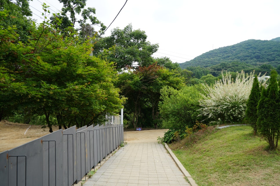 경기도 광주 율봄식물원, 경기도 수국 명소는 이곳! 주차장 및 입장료 정보까지 알려드려요~