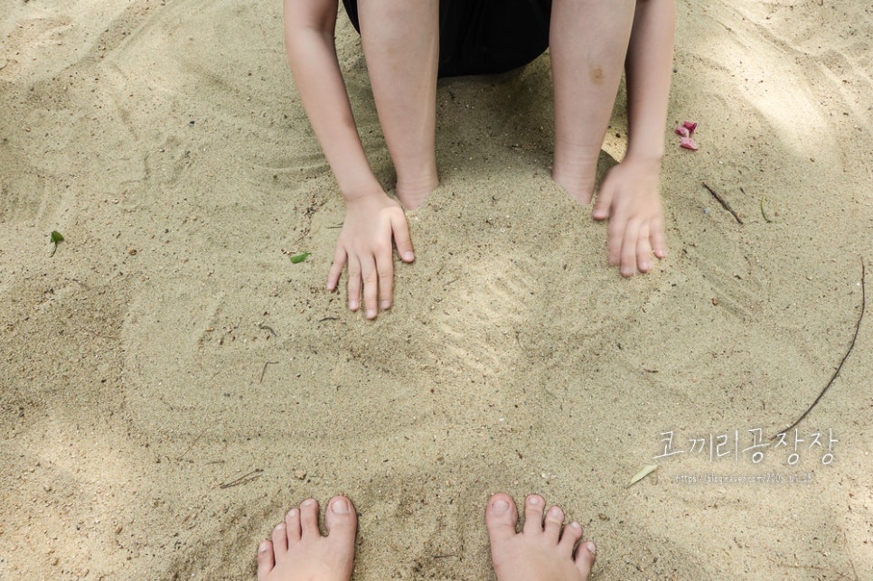 인천 서구 드림파크 야생화단지의 아름다운 산책길 아이랑 숲체험 하기 좋은 곳