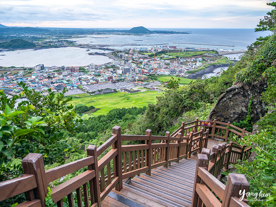 제주 여행 추천 성산일출봉 & 제주 아쿠아플라넷