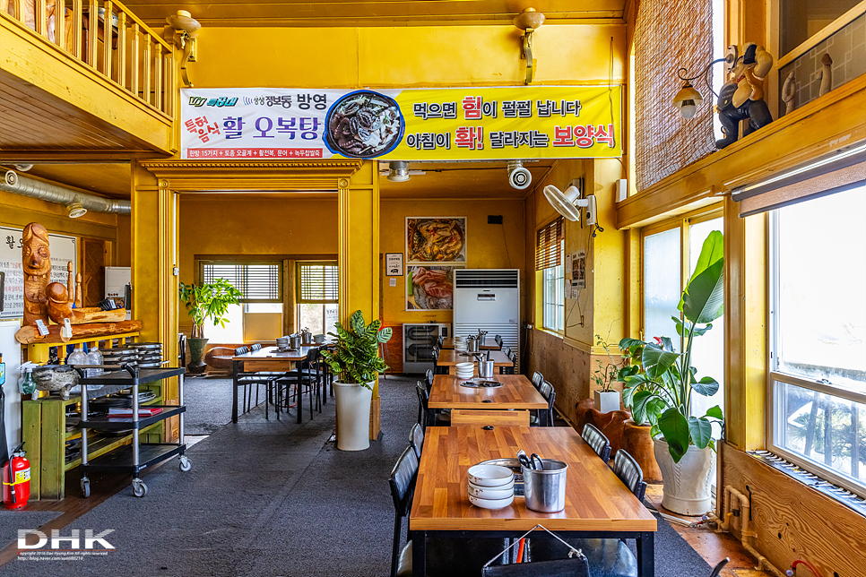 제주 애월흑돼지 맛집 제주도 뚱딴지 흑돼지 근고기