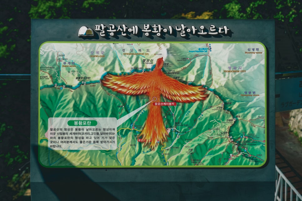 [팔공산국립공원] 대구 드라이브 명소 팔공산케이블카 타고 산림욕!