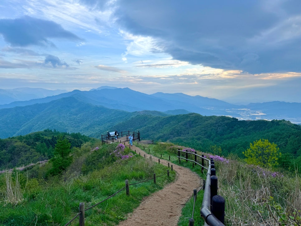 지리산국립공원 바래봉 등산코스 힐링 산행을 원한다면 여기!(5월)