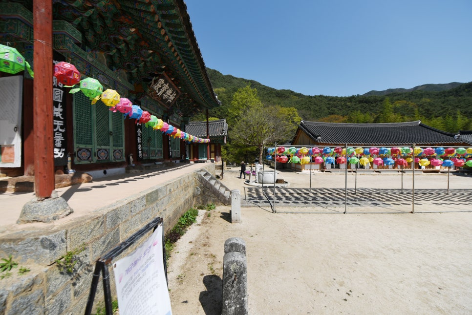 구례 지리산 천은사 - 감로천과 아름다운 무지개다리를 건너 만나는 사찰