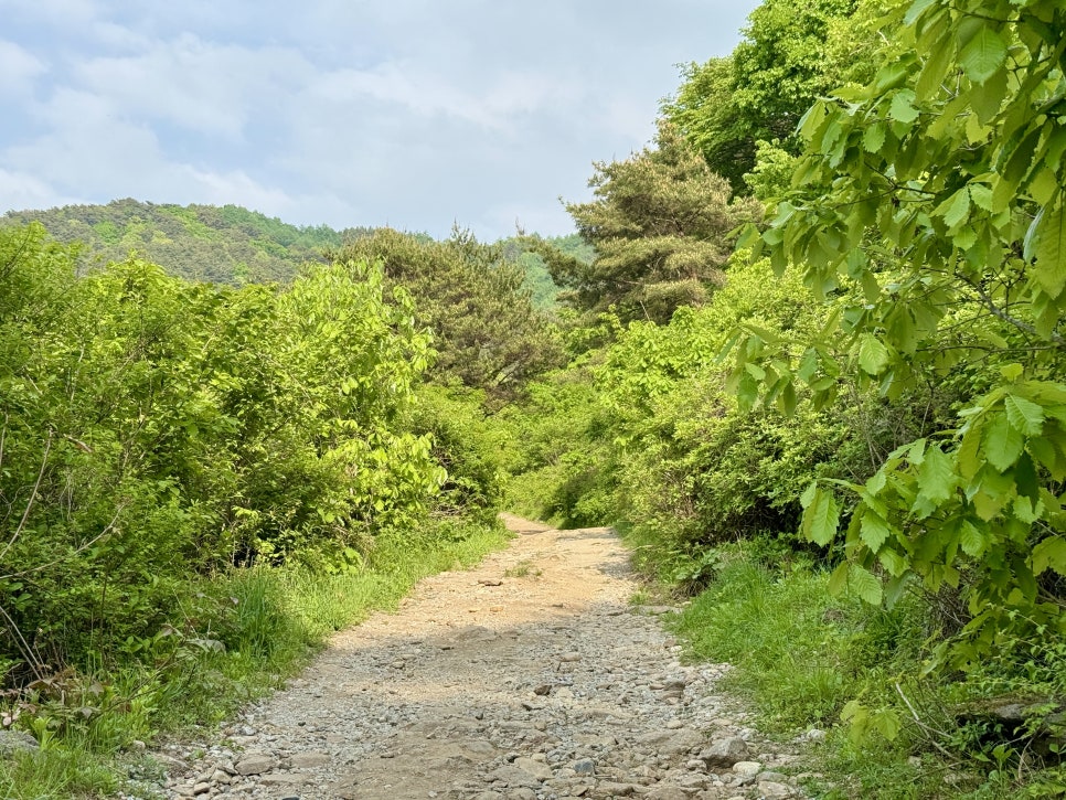 지리산국립공원 바래봉 등산코스 힐링 산행을 원한다면 여기!(5월)