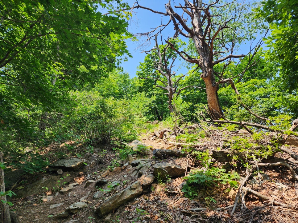 운길산-적갑산-예봉산-예빈산 산행('24.06.06)