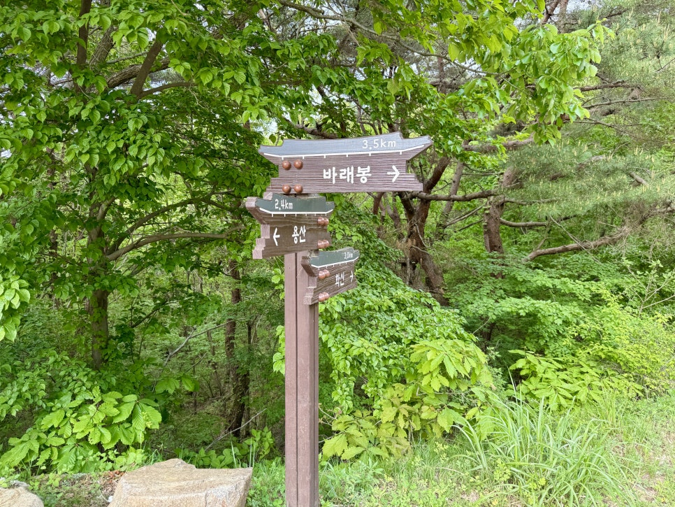 지리산국립공원 바래봉 등산코스 힐링 산행을 원한다면 여기!(5월)