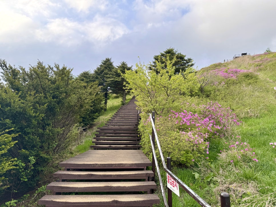 지리산국립공원 바래봉 등산코스 힐링 산행을 원한다면 여기!(5월)