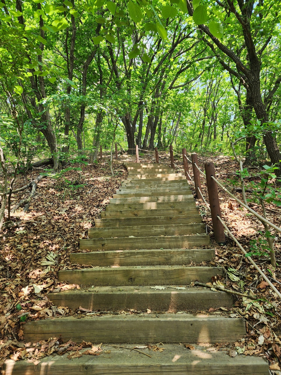 운길산-적갑산-예봉산-예빈산 산행('24.06.06)