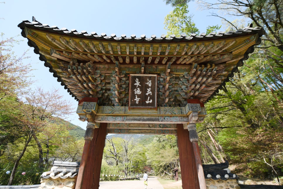 구례 지리산 천은사 - 감로천과 아름다운 무지개다리를 건너 만나는 사찰