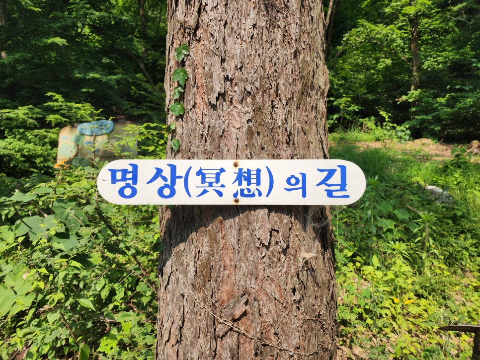 운길산-적갑산-예봉산-예빈산 산행('24.06.06)