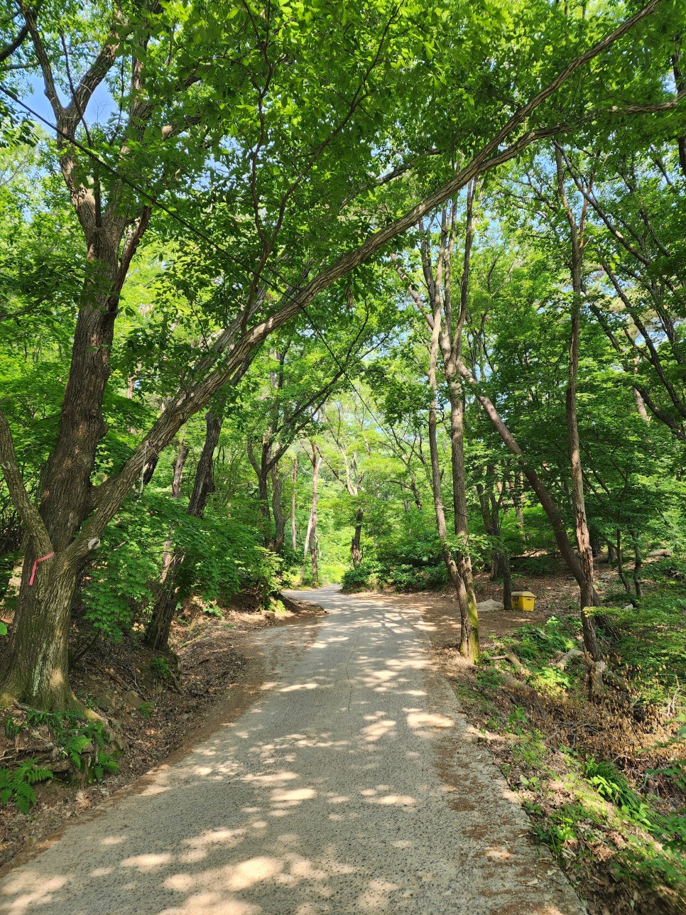 운길산-적갑산-예봉산-예빈산 산행('24.06.06)