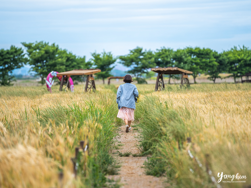 안산 대부도 여행 코스 대부도 테마파크 공원 커플 드라이브 코스