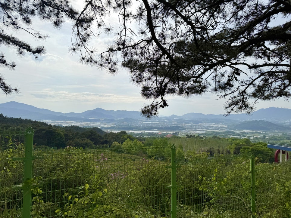 지리산국립공원 바래봉 등산코스 힐링 산행을 원한다면 여기!(5월)