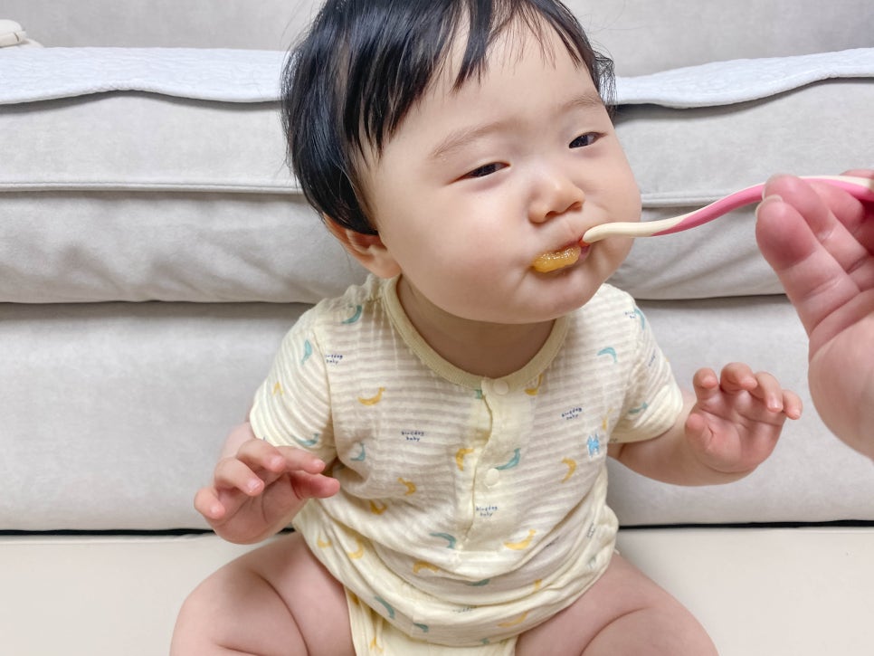 단호박퓨레 8개월 아기 간식 아넬라퓨레 추천하는 이유