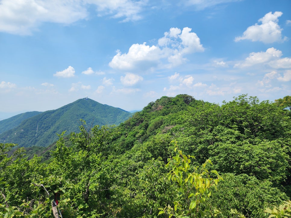 운길산-적갑산-예봉산-예빈산 산행('24.06.06)