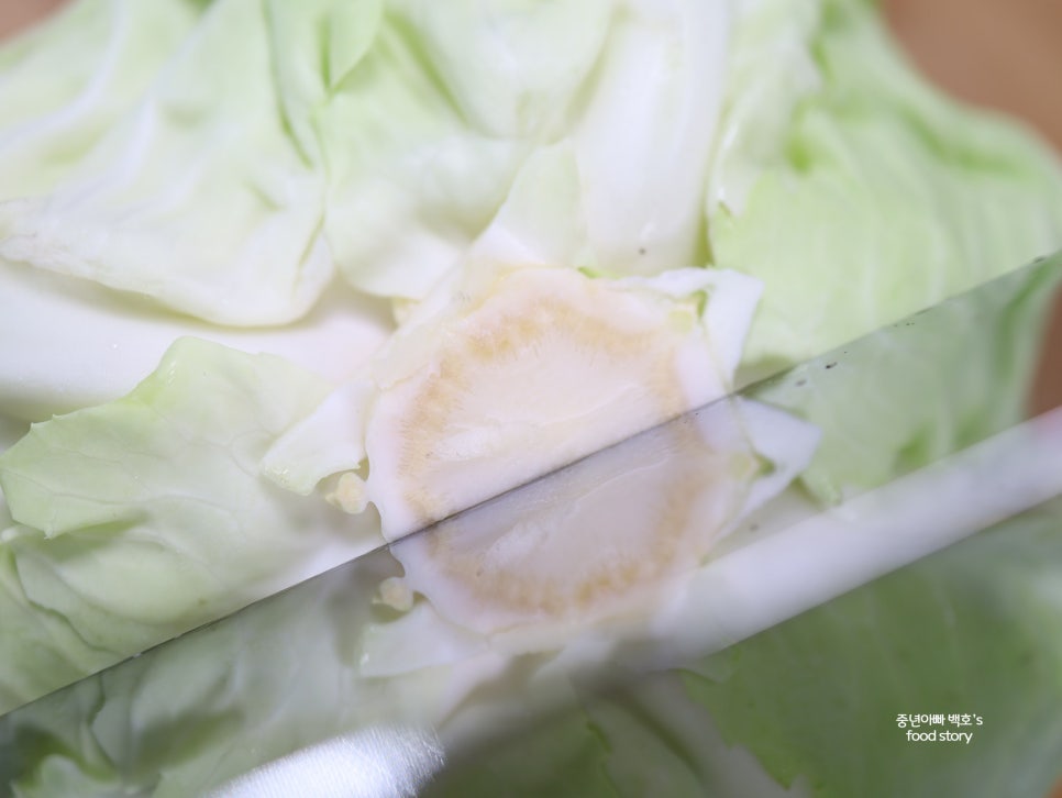 통양배추 보관법 채썰기 손질법 씻는법 생양배추 칼로리