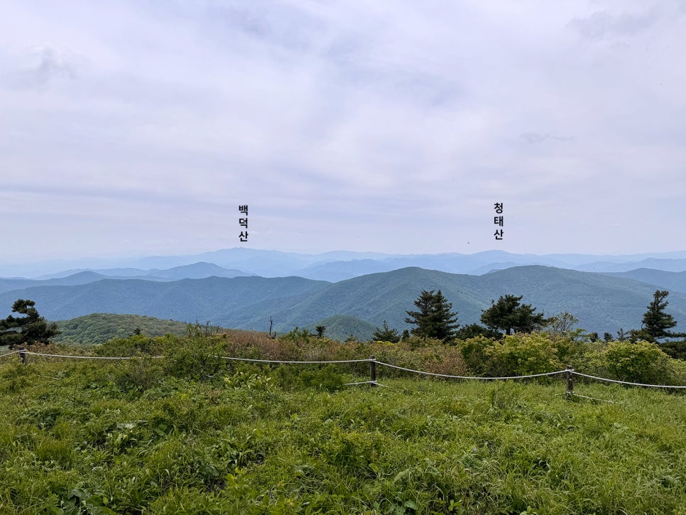 [51] 정선 가리왕산 (발심사 원점회귀 최단 코스)