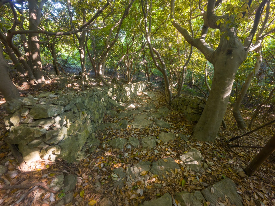 [한려해상국립공원] 거제도에서 볼 수 있는 한려해상 최고의 등산코스 !!