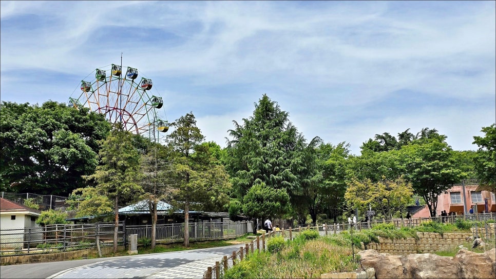 전주 아이와 가볼만한곳 전주동물원 볼거리 놀거리 전주 가족여행 추천!