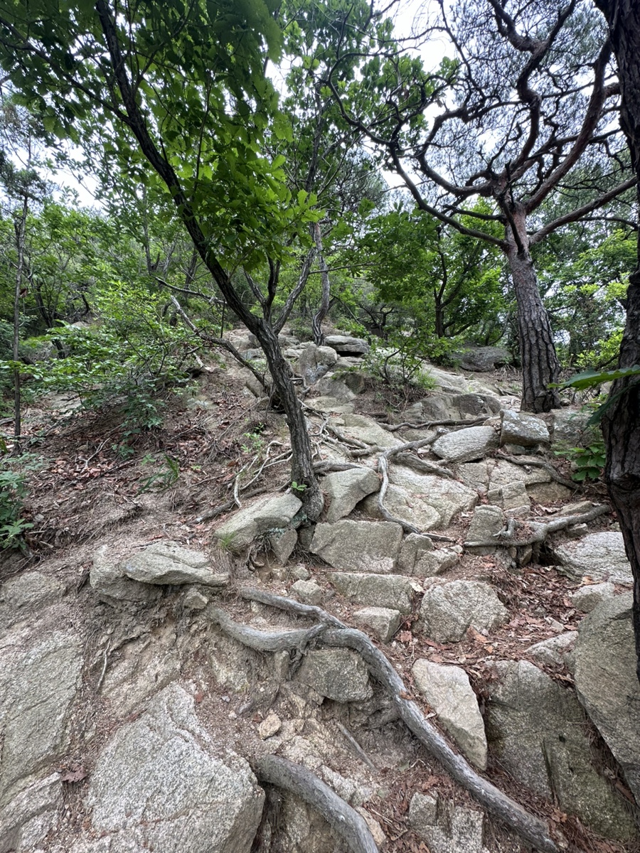 북한산 응봉능선코스 진관사 사모바위 비봉 원점회귀