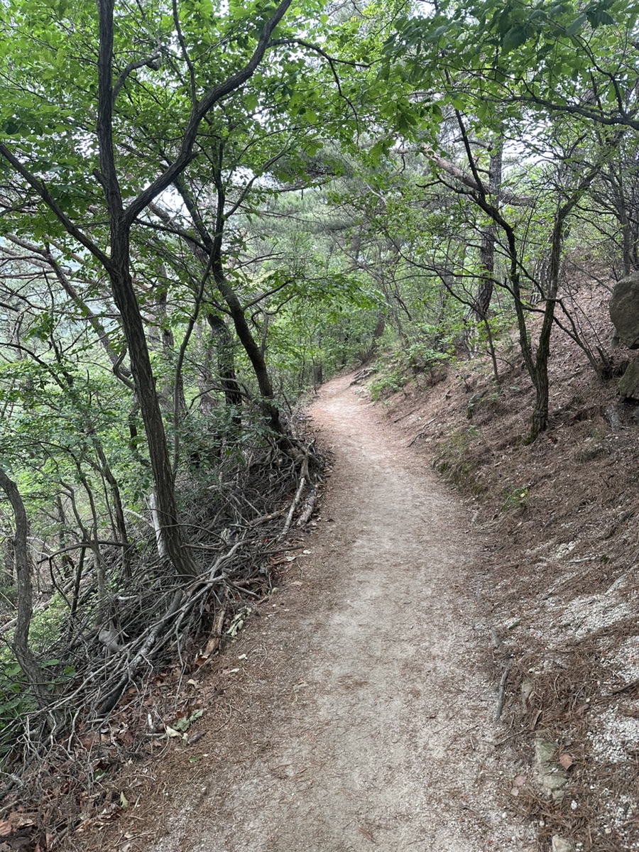 북한산 칼바위능선코스 문필봉 칼바위 대성문 북한산둘레길 원점회귀