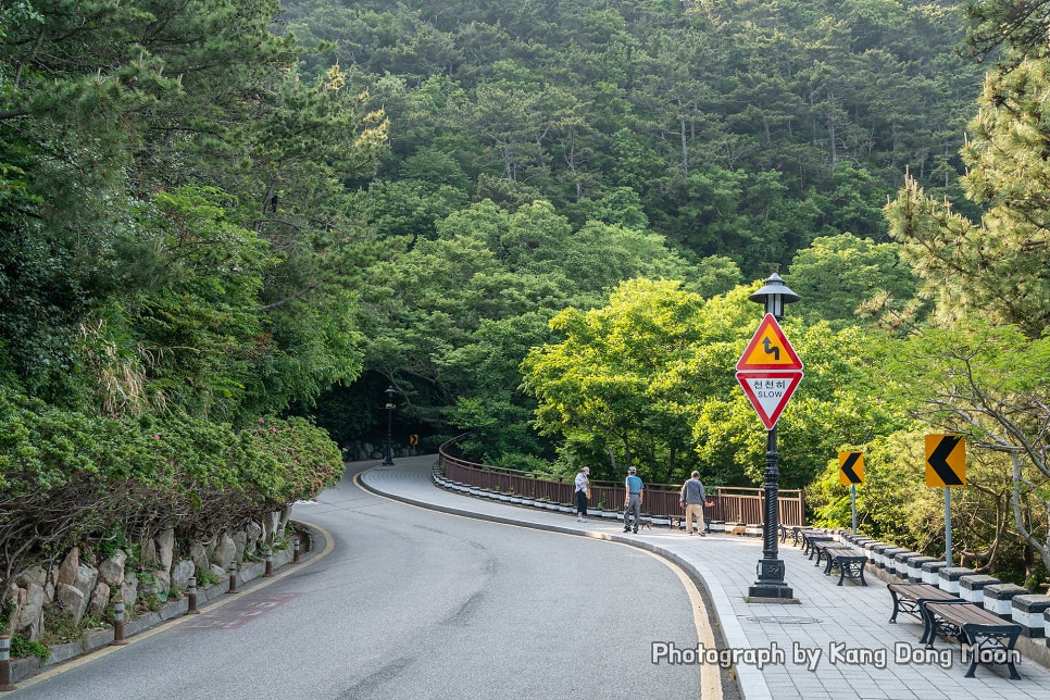 부산 여행 2박3일 코스 7월 8월 부산 가볼만한곳 여름 데이트 코스