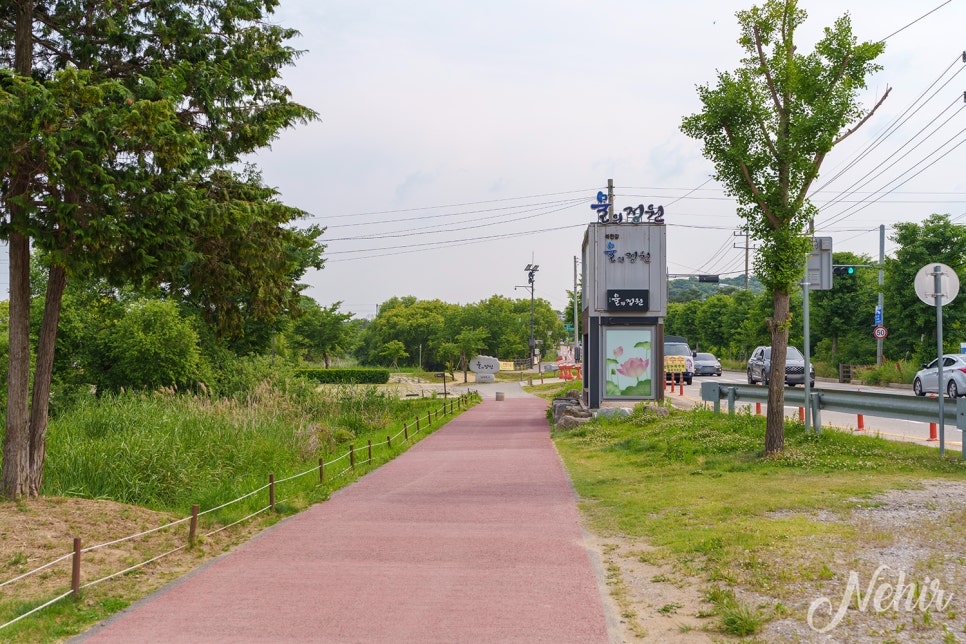 남양주 갈만한곳 물의정원 양귀비 남양주 볼거리 피크닉장소