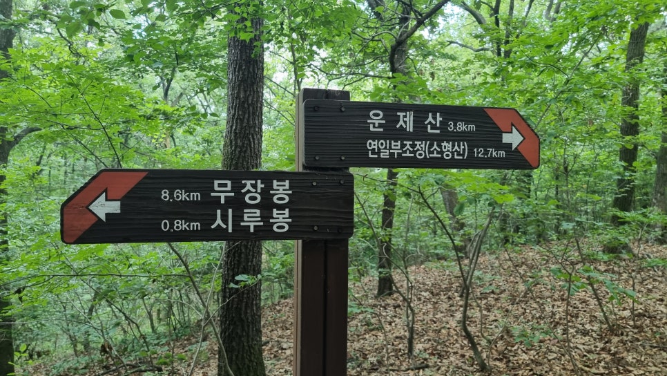 포항 운제산 등산, 오어사 원점회귀 환종주 산행