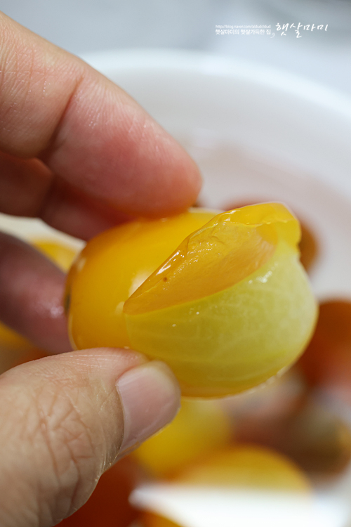 초당옥수수 토마토 살사소스 만들기 초당옥수수요리 만드는 법 간단한 소스 레시피