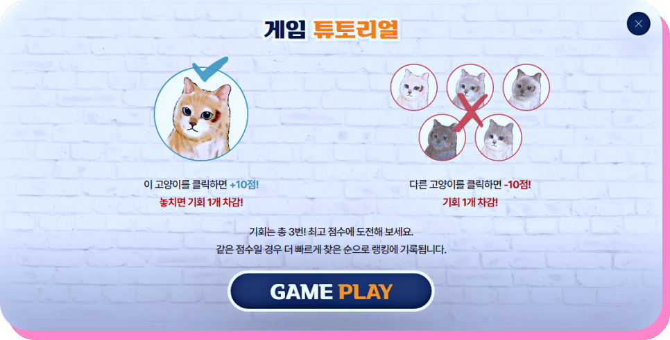 낮과 밤이 다른 그녀 이벤트 고양이 찾기 신박하다