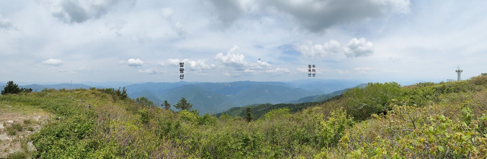 [51] 정선 가리왕산 (발심사 원점회귀 최단 코스)