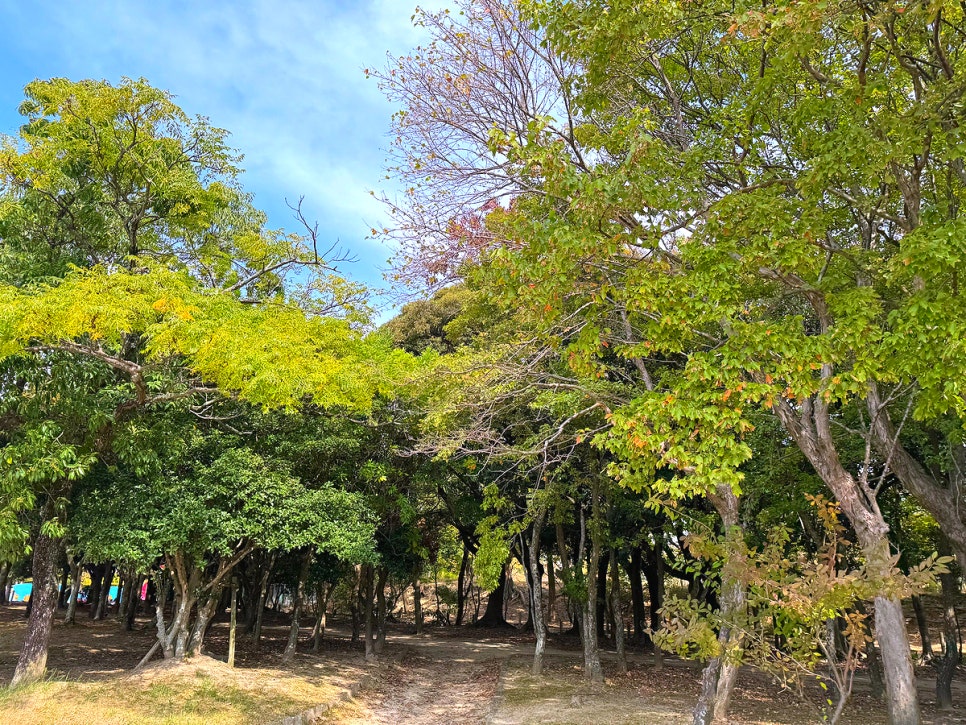 일본 후쿠오카 여행 코스 후쿠오카타워 오호리공원 텐진 캐널시티