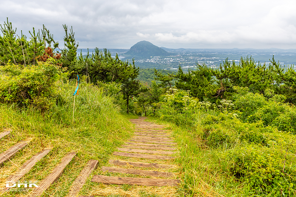 제주도 서쪽 산방산 근처 가볼만한곳 차로 올라가는 제주 군산오름 주차장 소요시간 일몰