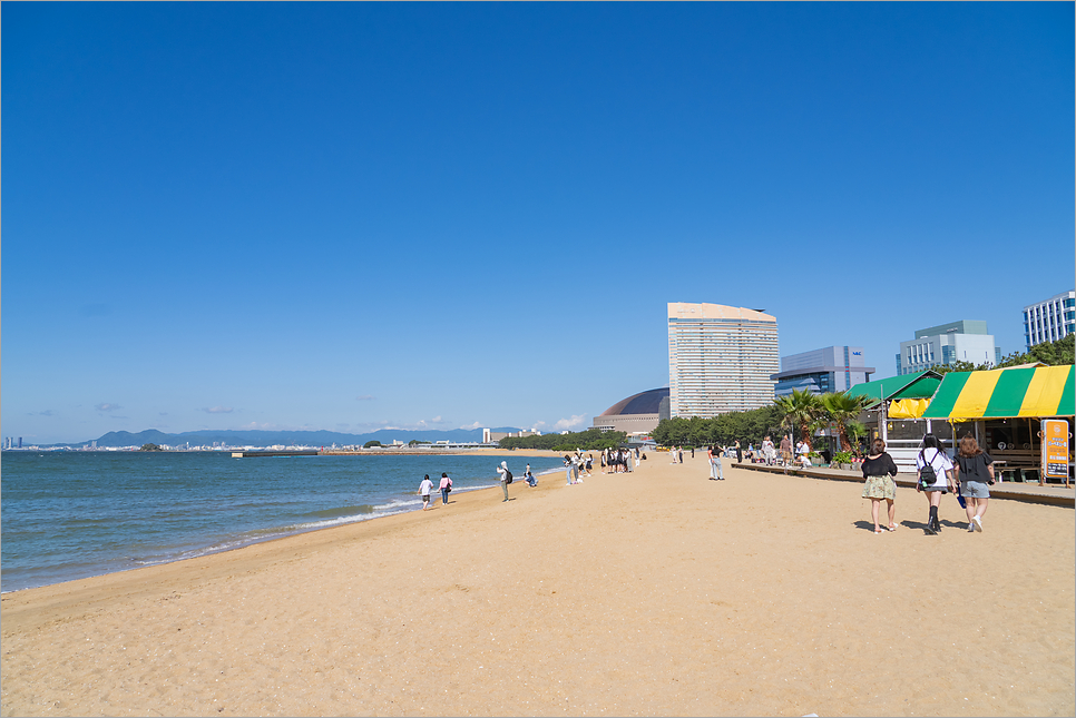 일본 후쿠오카 여행 모모치해변 후쿠오카타워 입장료 가는법