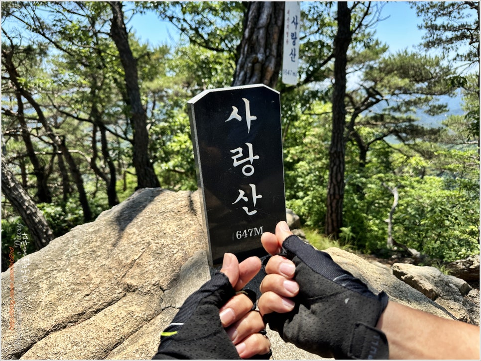 사랑산 37 of 괴산46산 / 사랑스럽네 사랑산