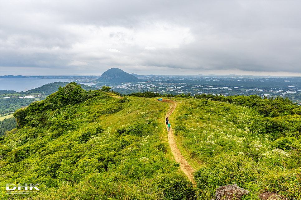 제주도 서쪽 산방산 근처 가볼만한곳 차로 올라가는 제주 군산오름 주차장 소요시간 일몰