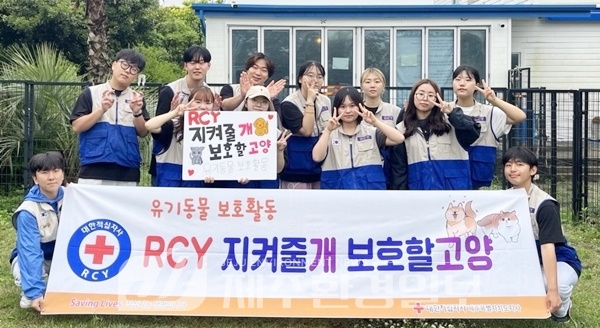 제주적십자사, RCY 지켜줄개 보호할고양 활동