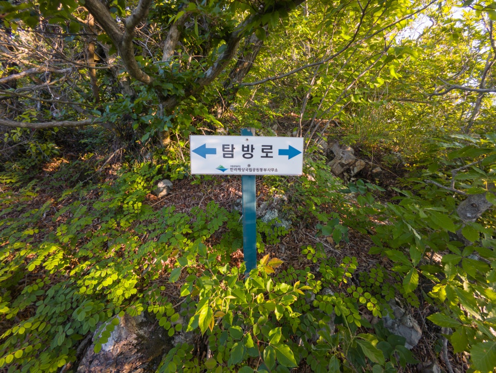 [한려해상국립공원] 거제도에서 볼 수 있는 한려해상 최고의 등산코스 !!