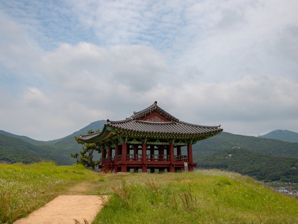 전남 완도 여행, 가족과 힐링의 시간을 보낼 수 있는 여름 1박 2일 여행 코스