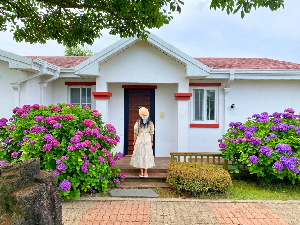 제주 표선 숙소 서귀포 블라제리조트 수국 정원 제주도 펜션 추천