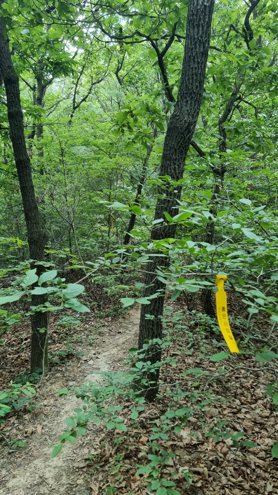 포항 운제산 등산, 오어사 원점회귀 환종주 산행