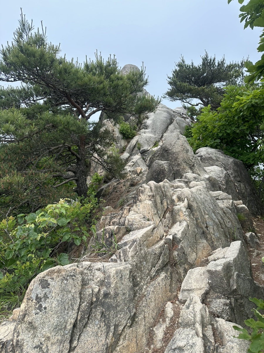 북한산 칼바위능선코스 문필봉 칼바위 대성문 북한산둘레길 원점회귀