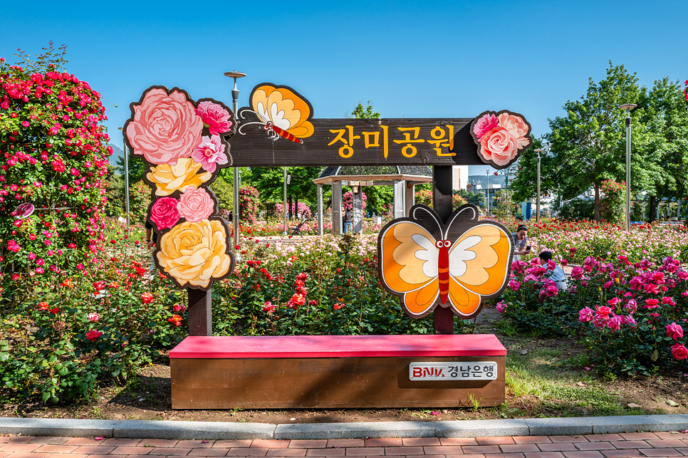 창원 가볼만한곳 경남 창원 장미공원 볼거리